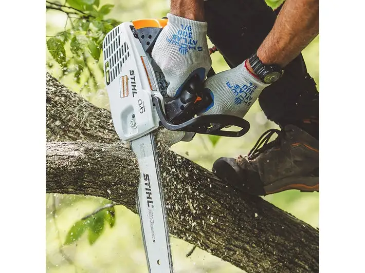 scie_top_handle_stihl_ms-194t_2.webp
